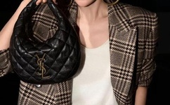 总裁的火辣媚妻